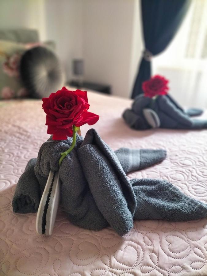 Apartment Red Roses Domus