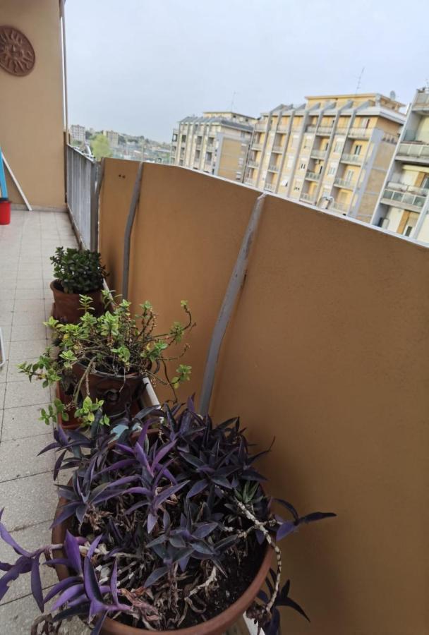 Apartment Per Turisti E Famiglie Rome