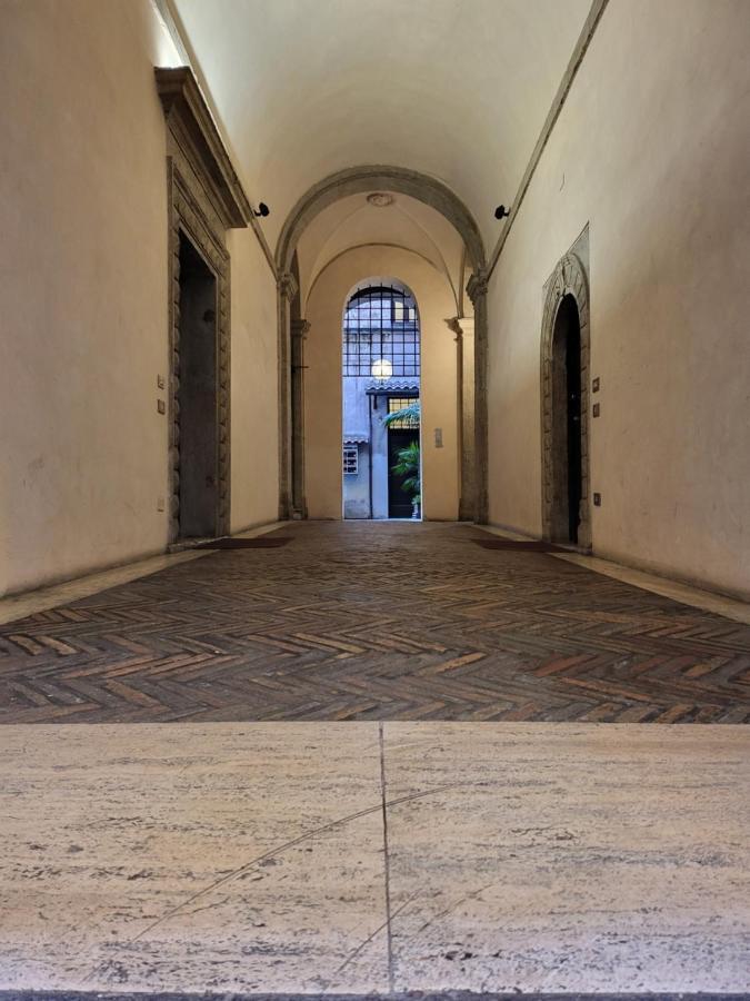 The Rabbit Hole * Roma