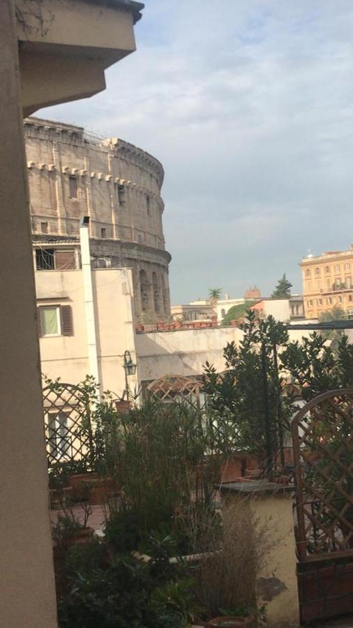 Colosseum Luil Appartamento Roma