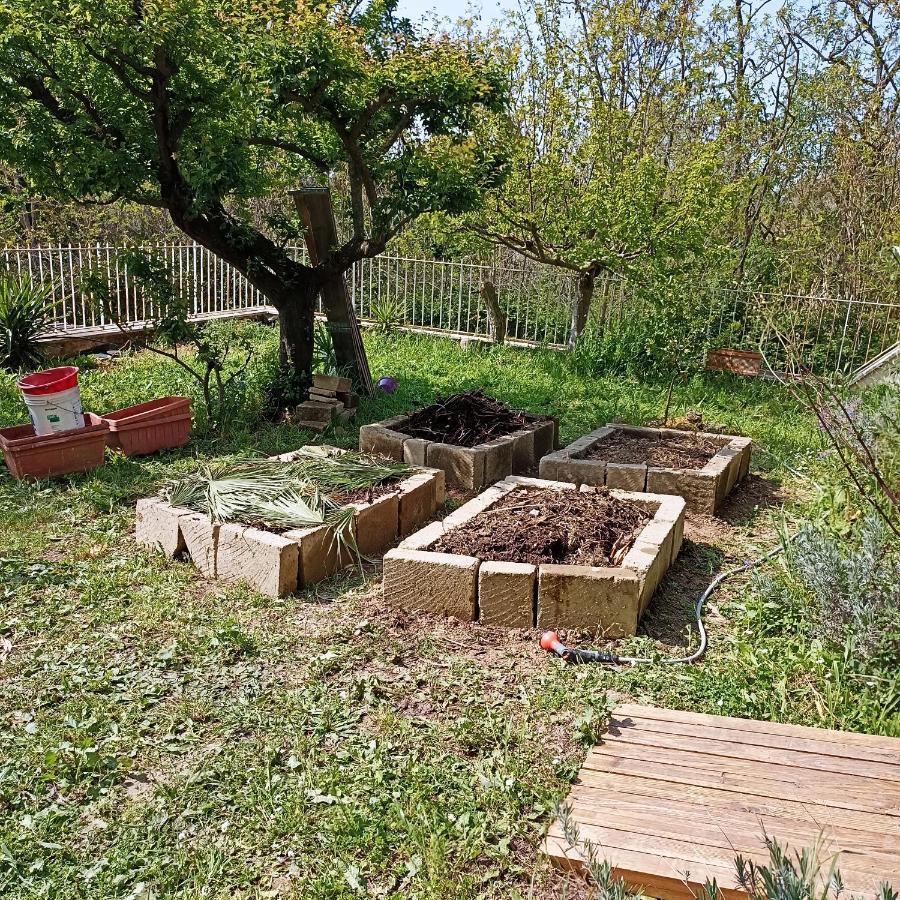 Ripe's Forest Garden Roma