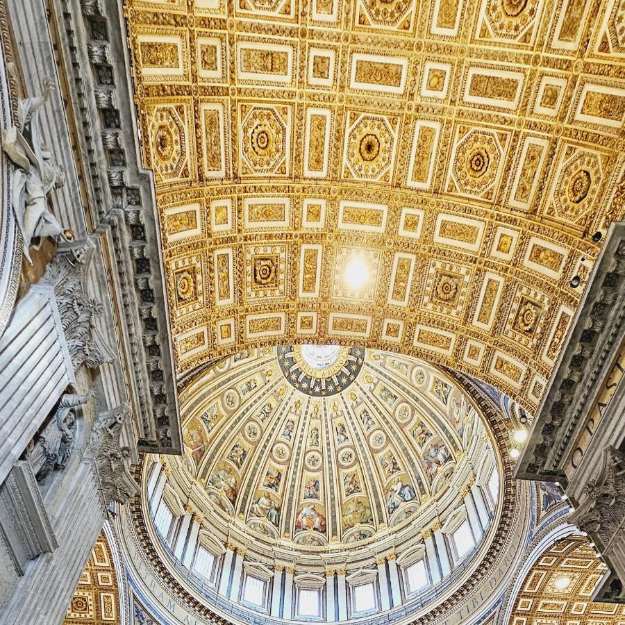 Affittacamere Vatican Domus Romuli *