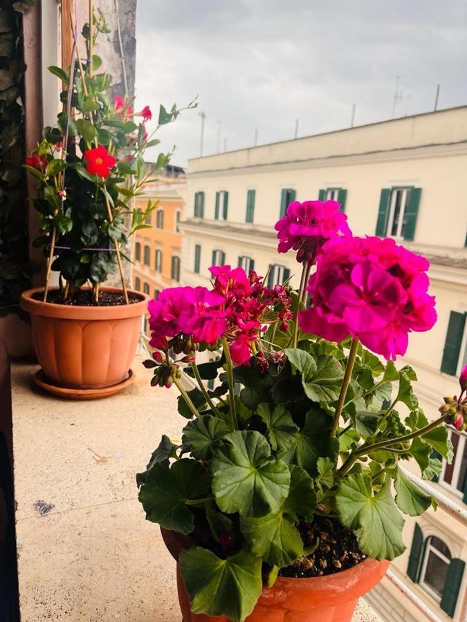 Guest house Hill Town Rome