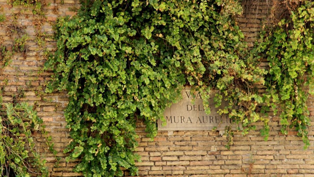 In Front Of The Vatican Apartment Rome