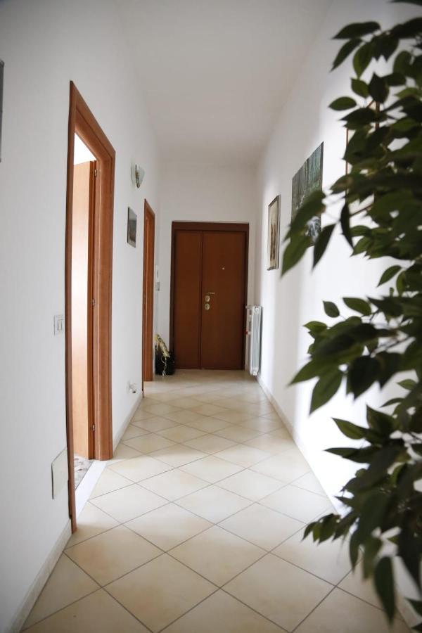 Pisana 247 St Peter *