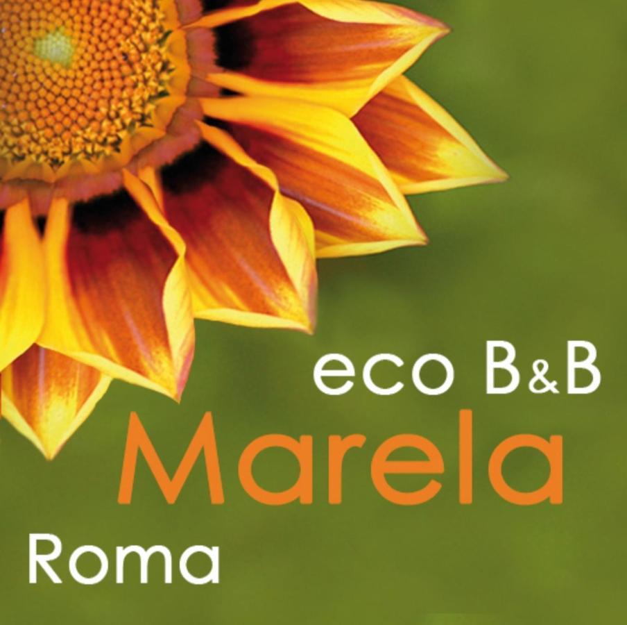 Eco Marela Rome