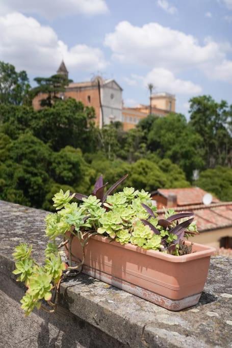 Trasteverina Chic House Roma