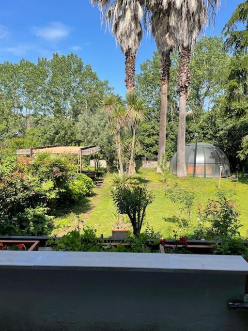 La Dolce - A Tropical Garden In Villa Rome