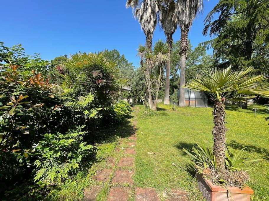 Villa La Dolce - A Tropical Garden In Rome