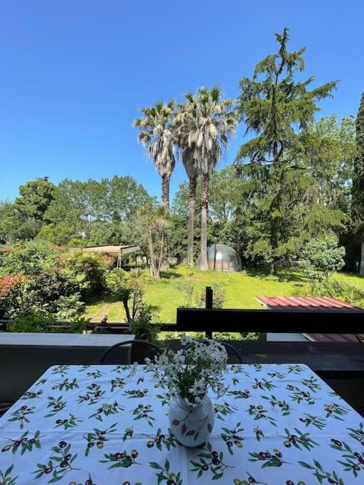 La Dolce - A Tropical Garden In * Rome