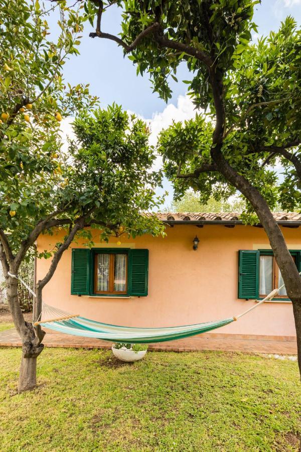 Peaceful Haven In