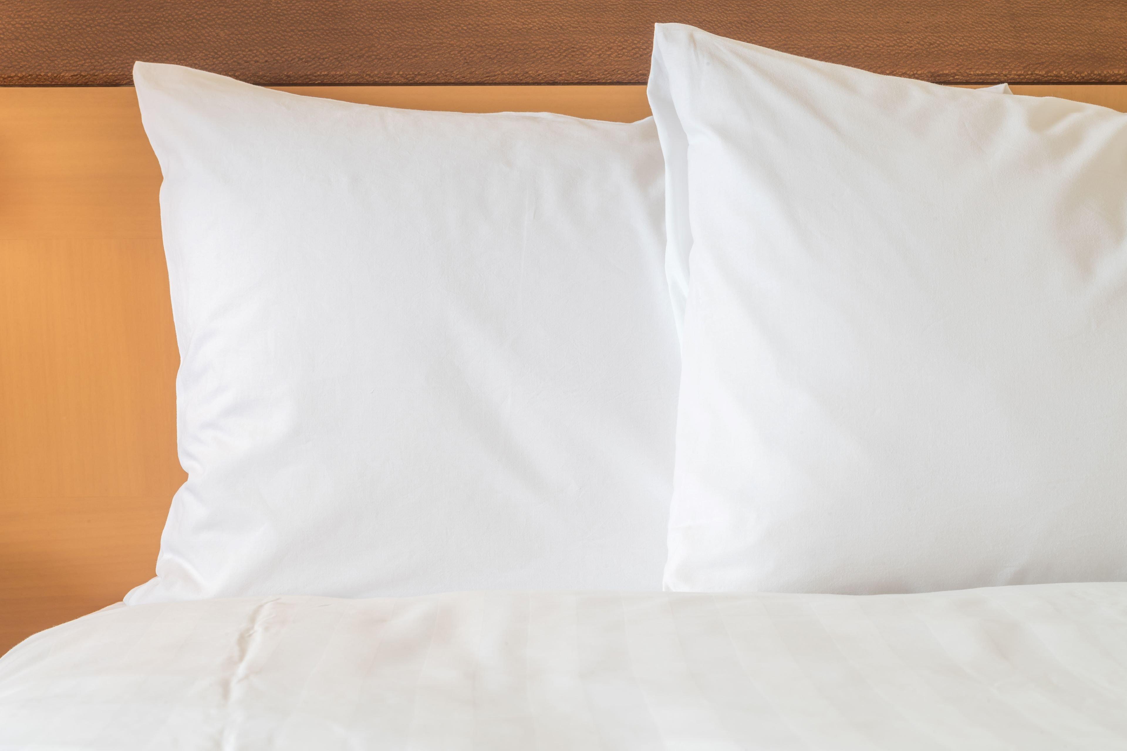 Hotel Gp Roma