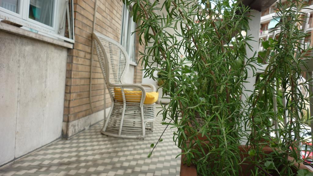 Bed & Breakfast La Mariposa Rome