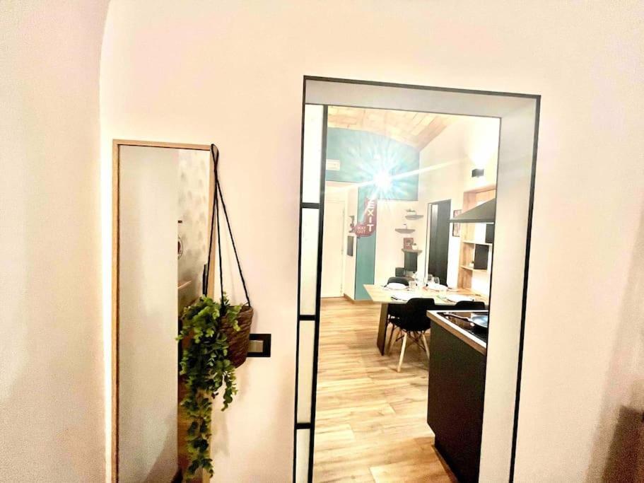 New Look8 Vatican Roma