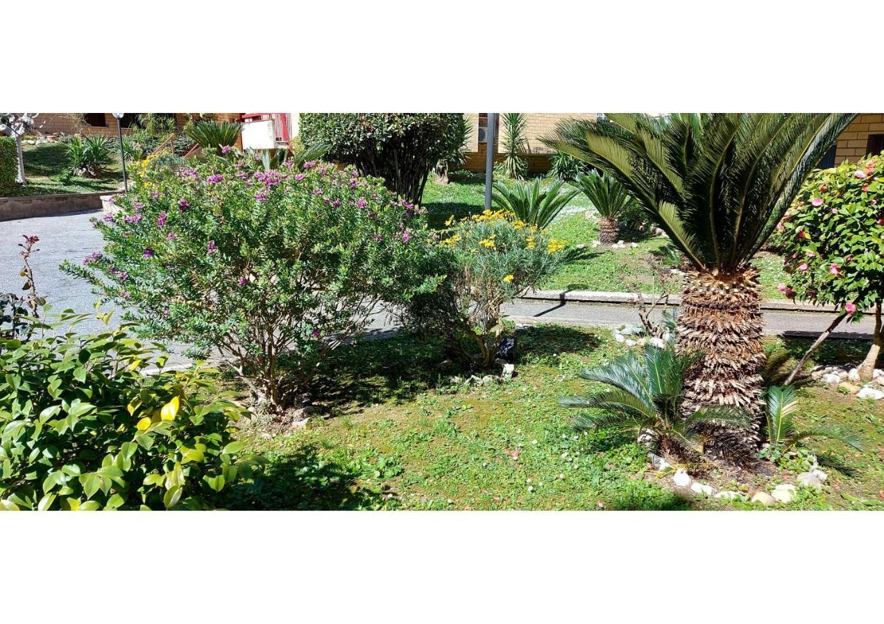 Appartamento Attico Con Terrazzo Roma