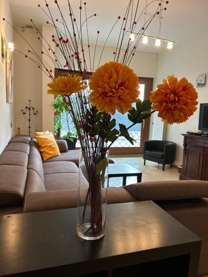 Apartment Carpegna Luxury With Terrace