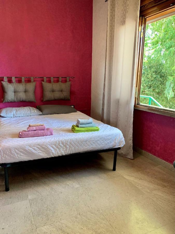 Elena Guest house *