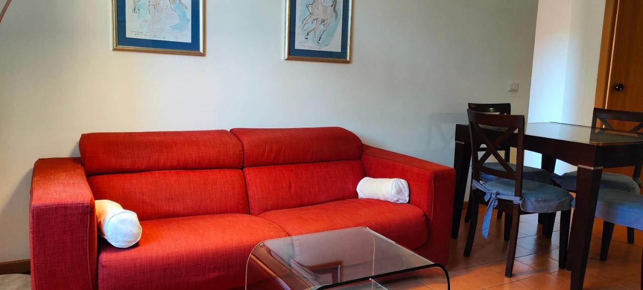 Apartment 20' From St. Peter Rome