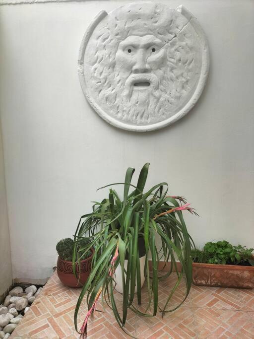 Casalara Garden Appartamento *