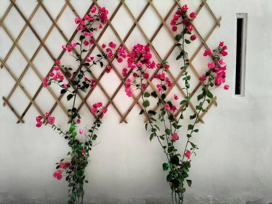 Casalara Garden Appartamento *