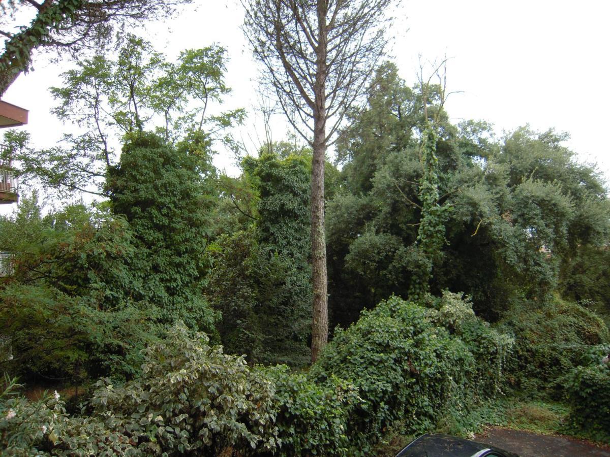 Cassia Rome