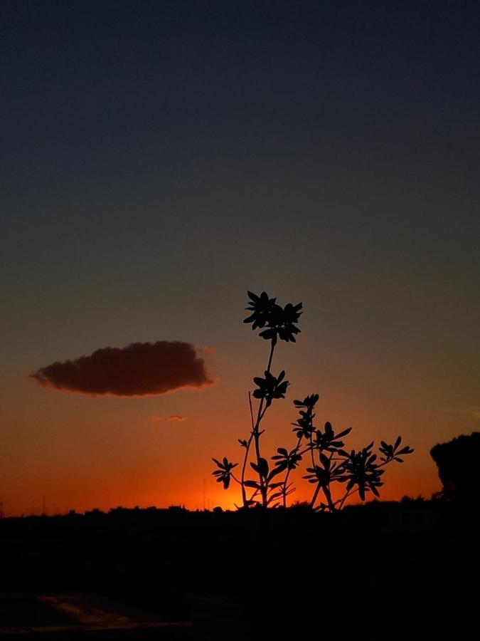 Appartamento Il Tramonto *