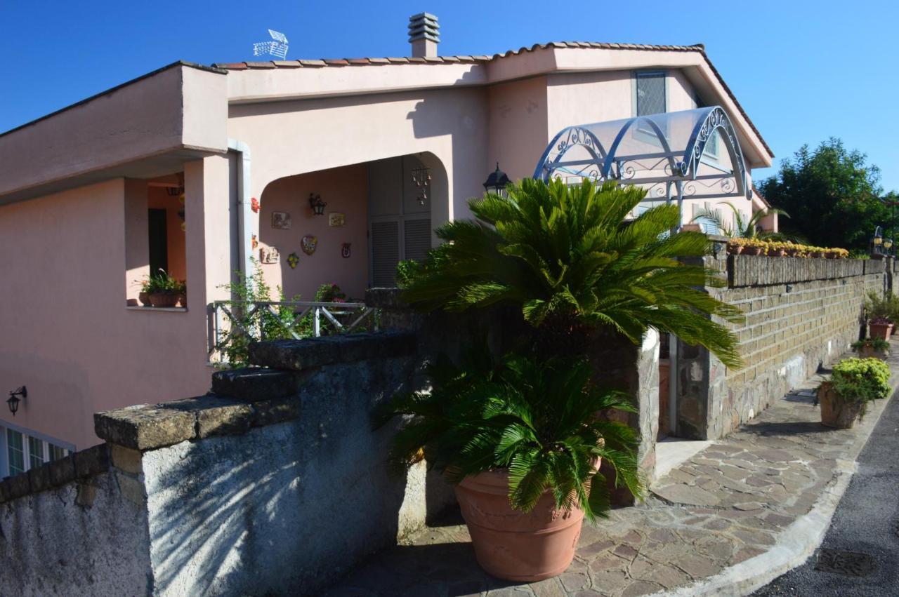 Guest house L'oasi Delle Vigne *