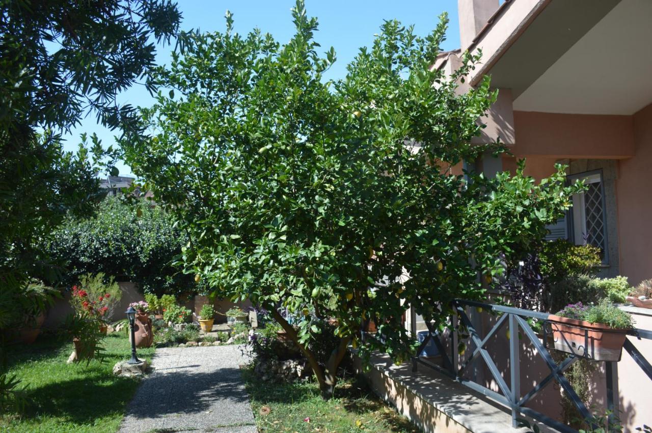 Guest house L'oasi Delle Vigne