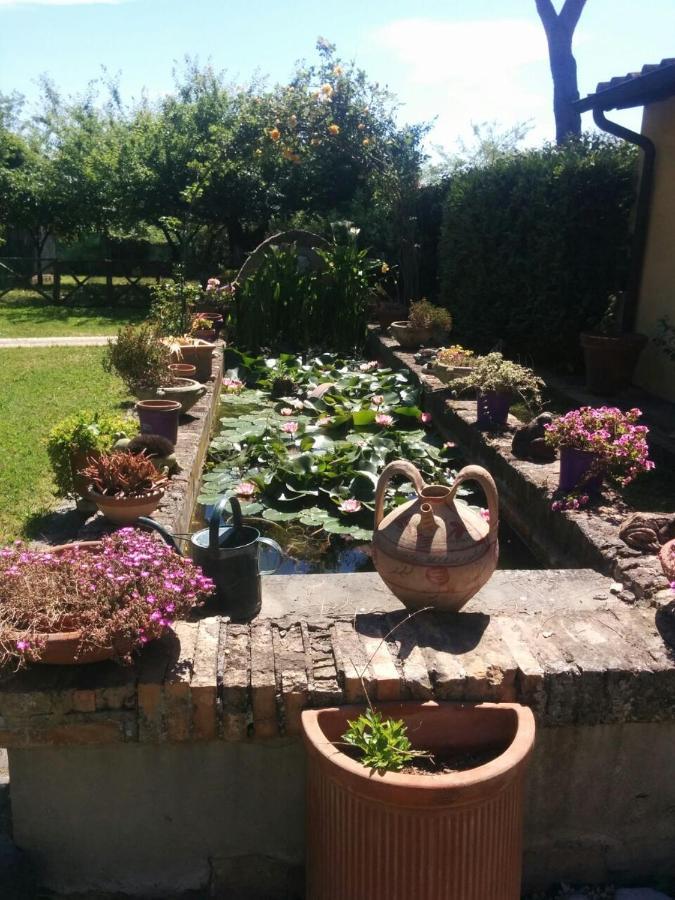 Villa L'oasi Di Baal