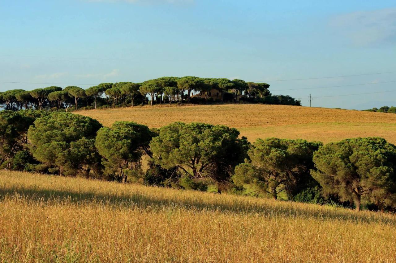 L'oasi Di Baal Villa Rome