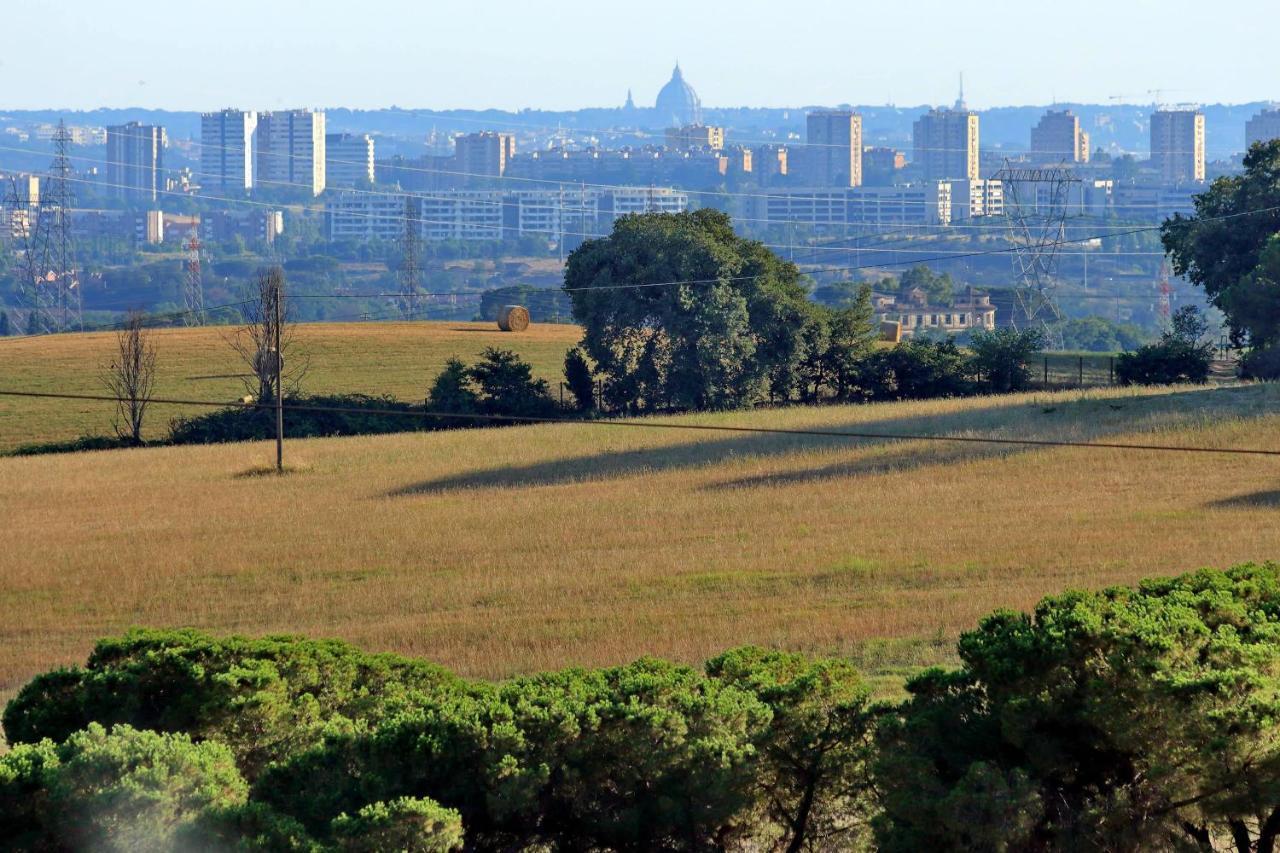 L'oasi Di Baal Rome