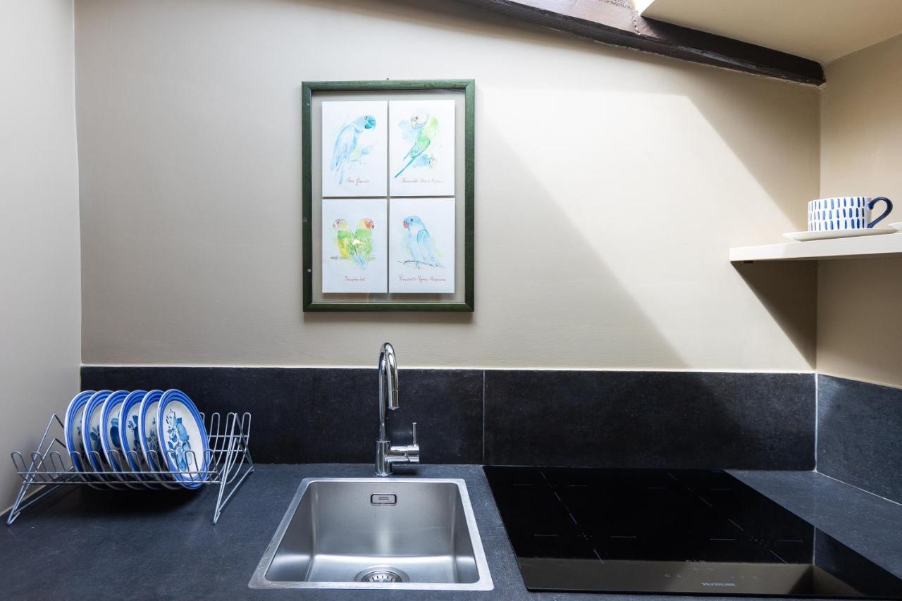 Amazing Fontana Di Trevi Apartment Rome