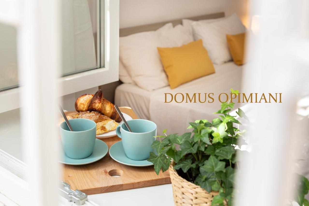 Domus Opimiani * Rome