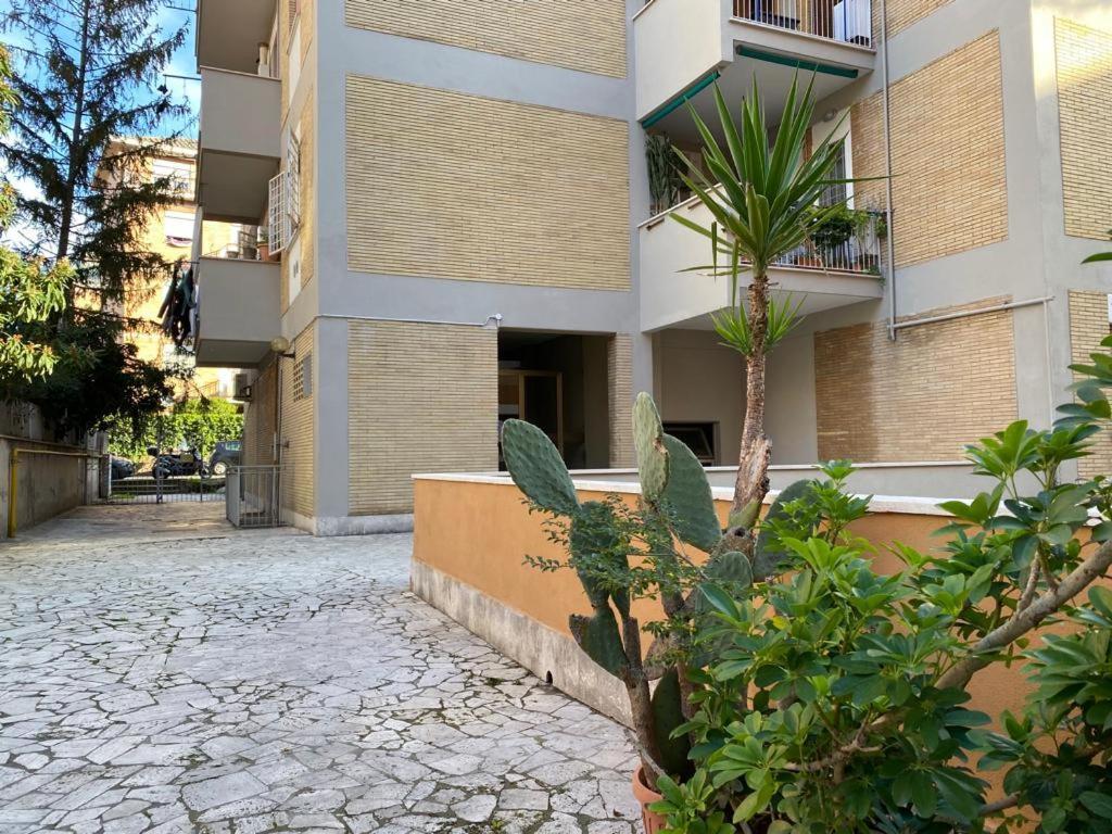 Casa Balu' Holiday home