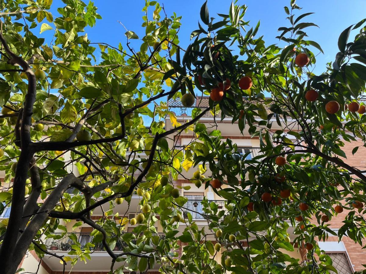 Acquedotti With Garden Appartamento *