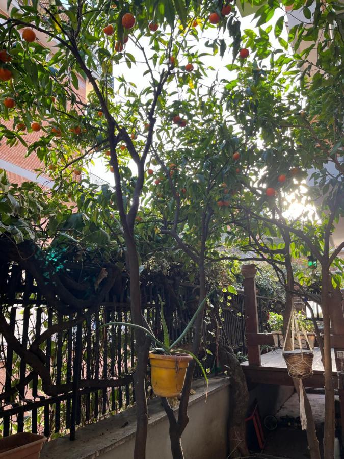 Acquedotti With Garden *