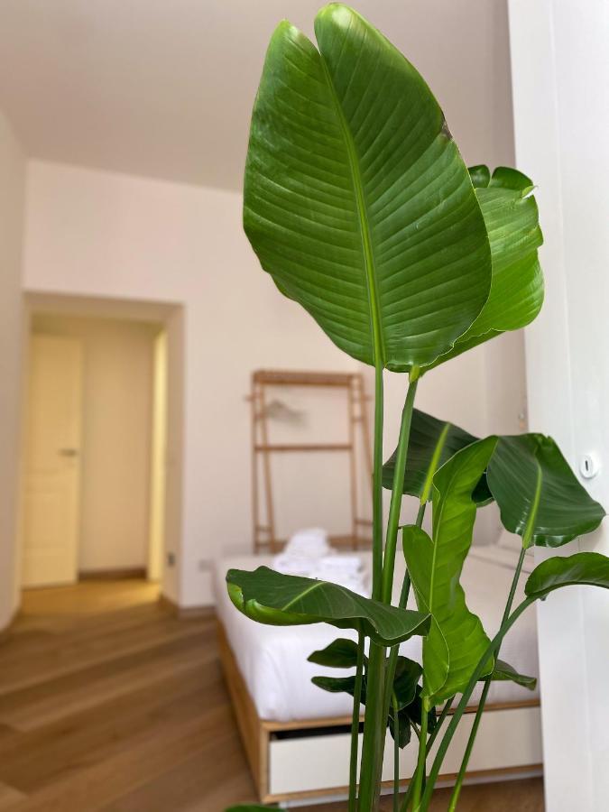Guest house Boho - Colosseum Rome