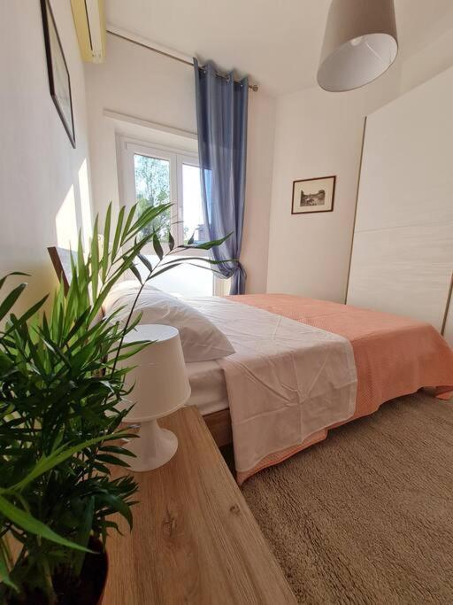 Apartment Casa Del Vicario Al Vaticano