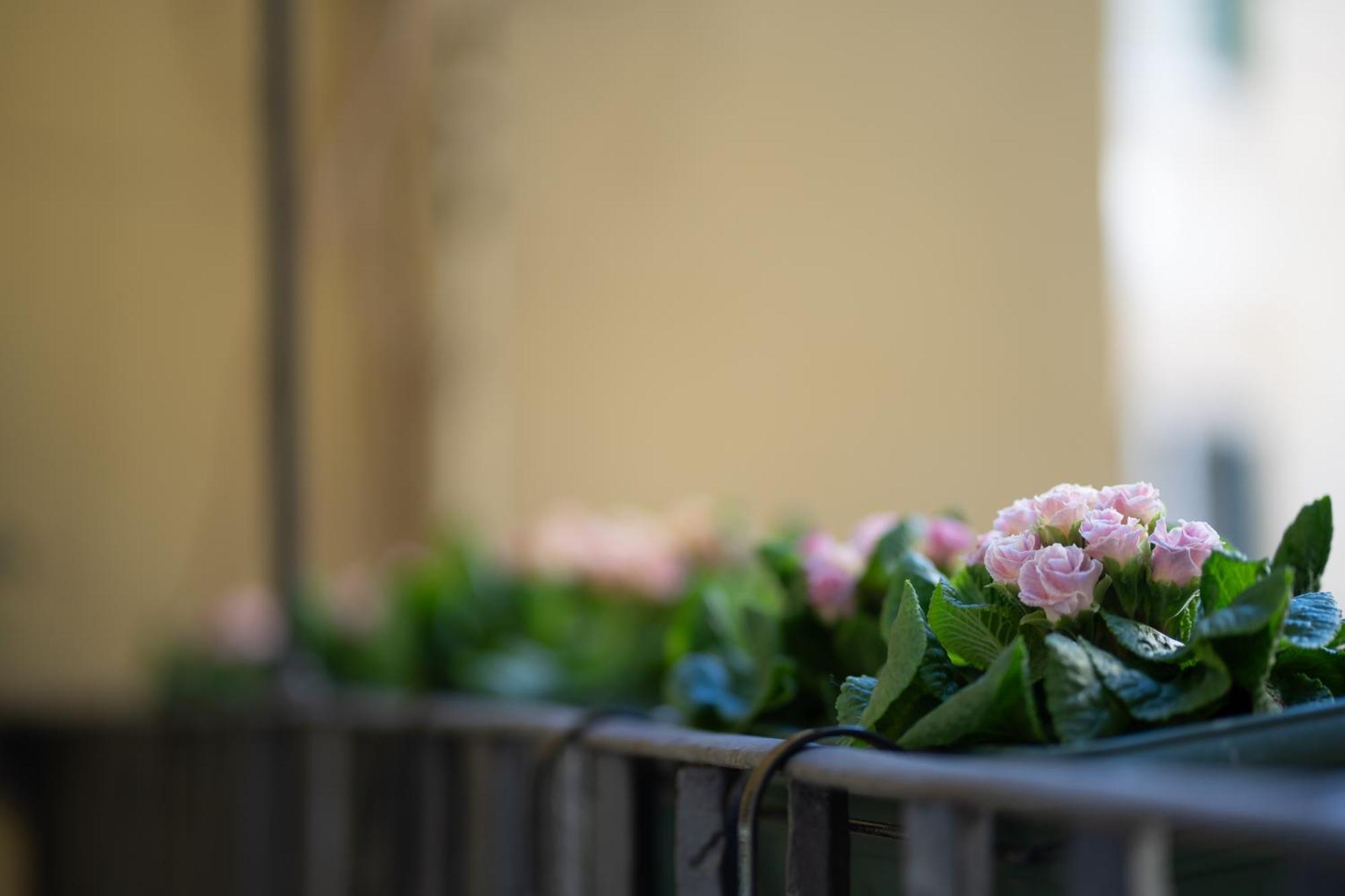 Apartment Pgrhome Croce