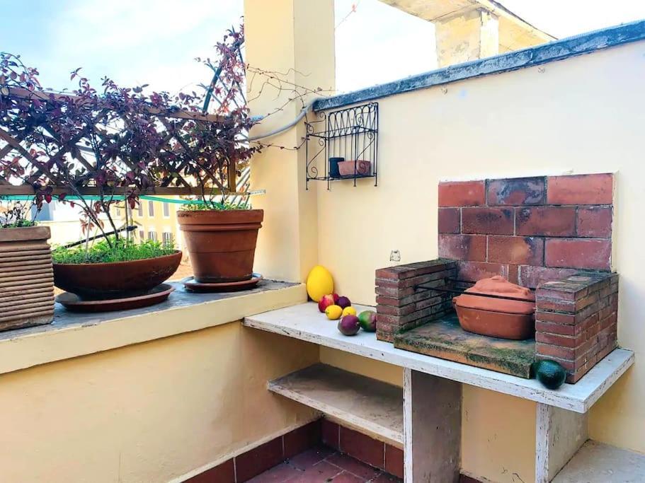 Cozy Terrace Termini