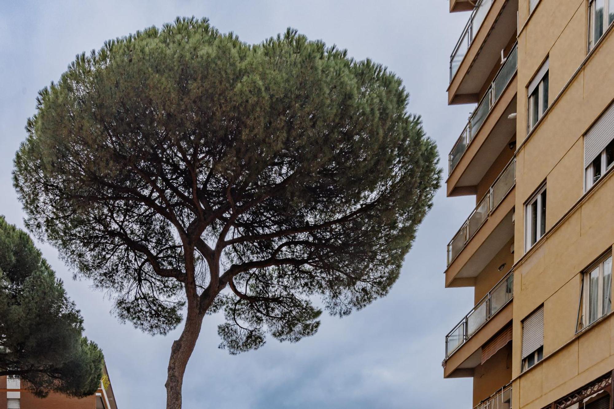 Appartamento Pigneto Smart