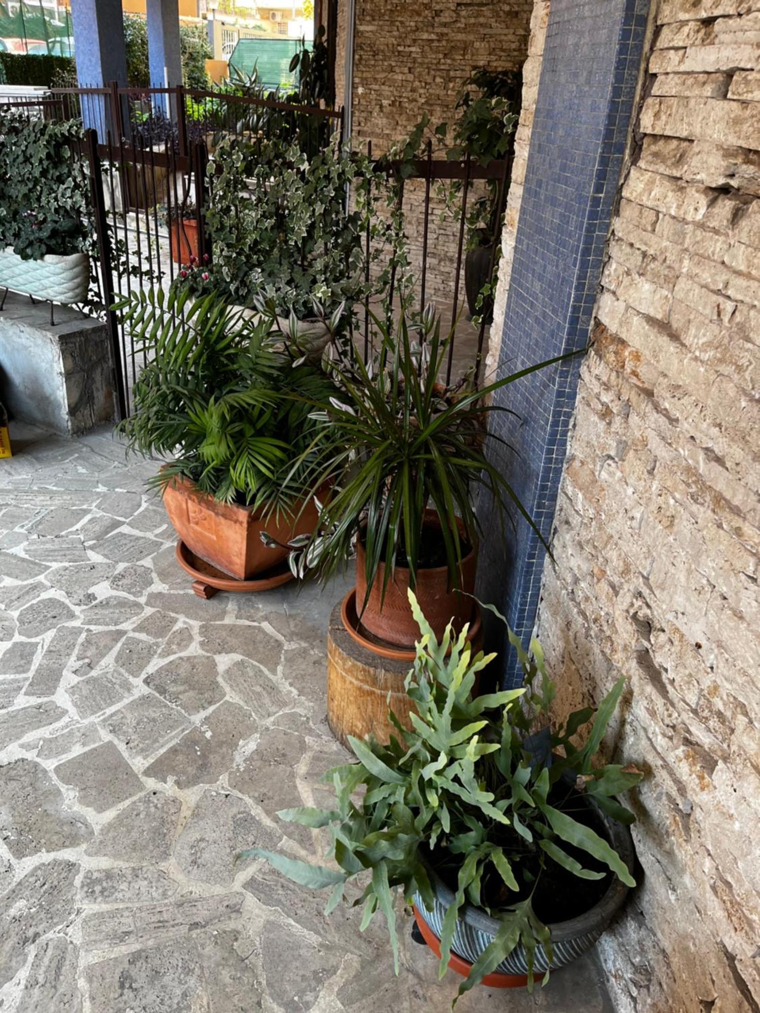 Casetta Romana Apartment *