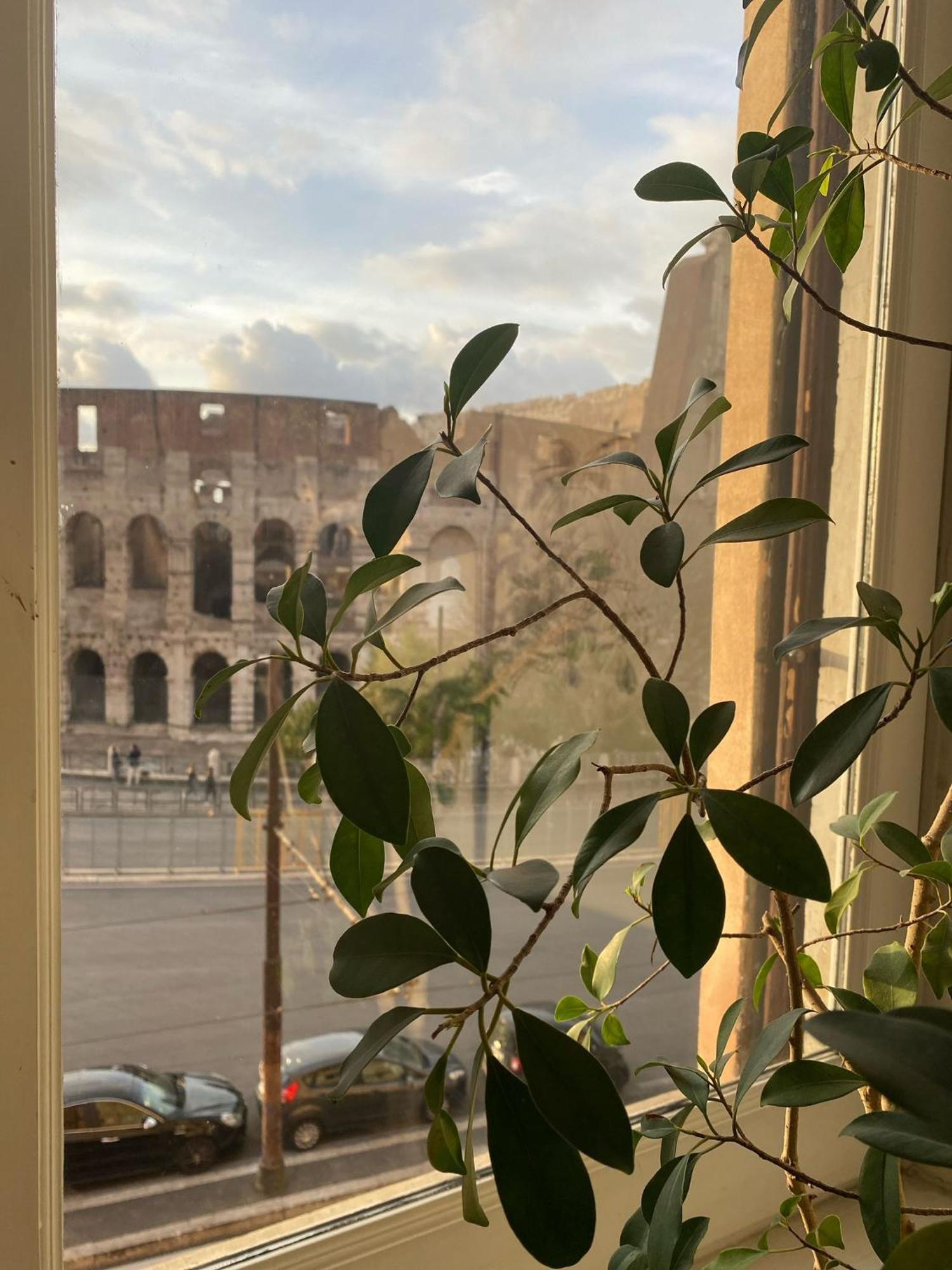 Apartment Colosseum Luxury