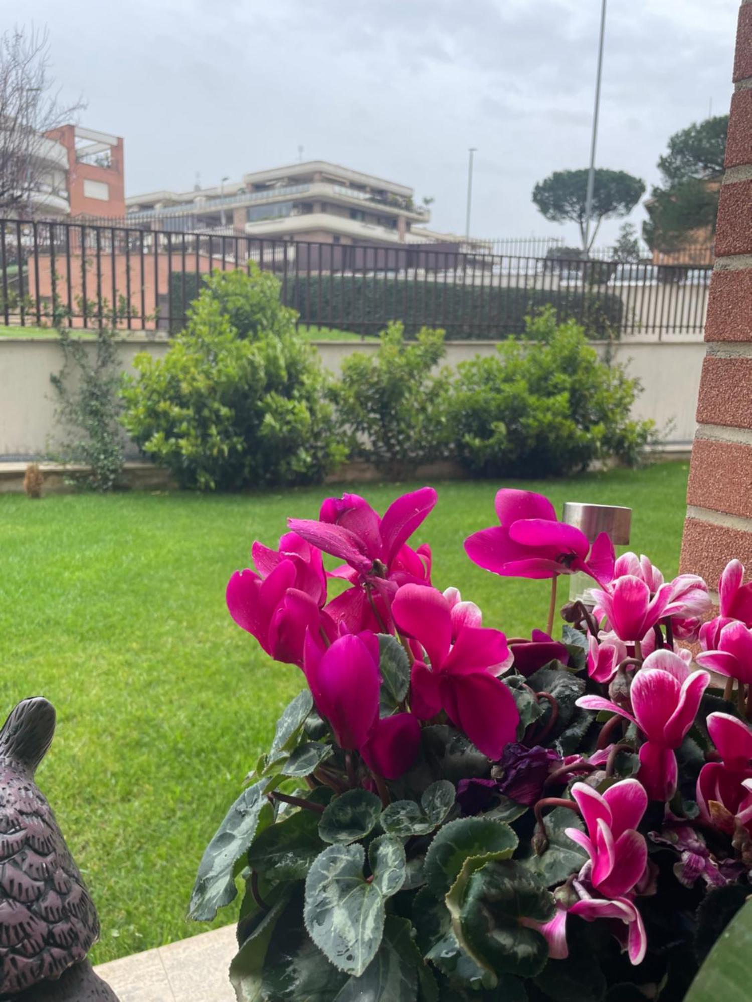 Aloise Appartamento