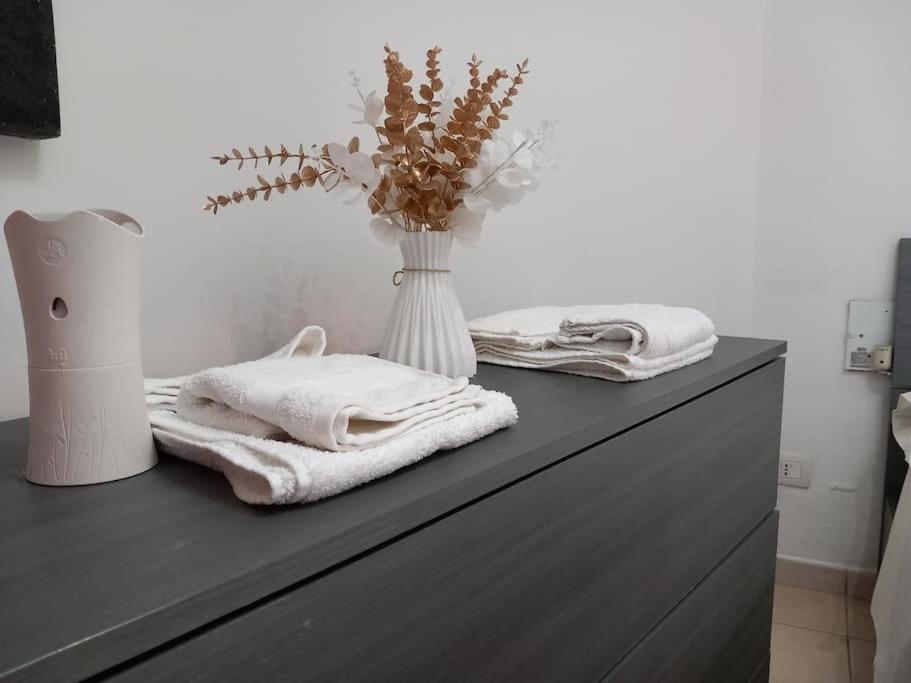 Domus Acquedotto Apartment Rome
