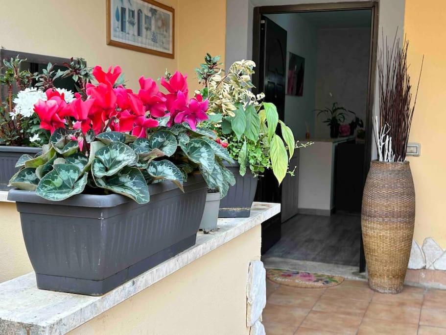 Domus Acquedotto Apartment