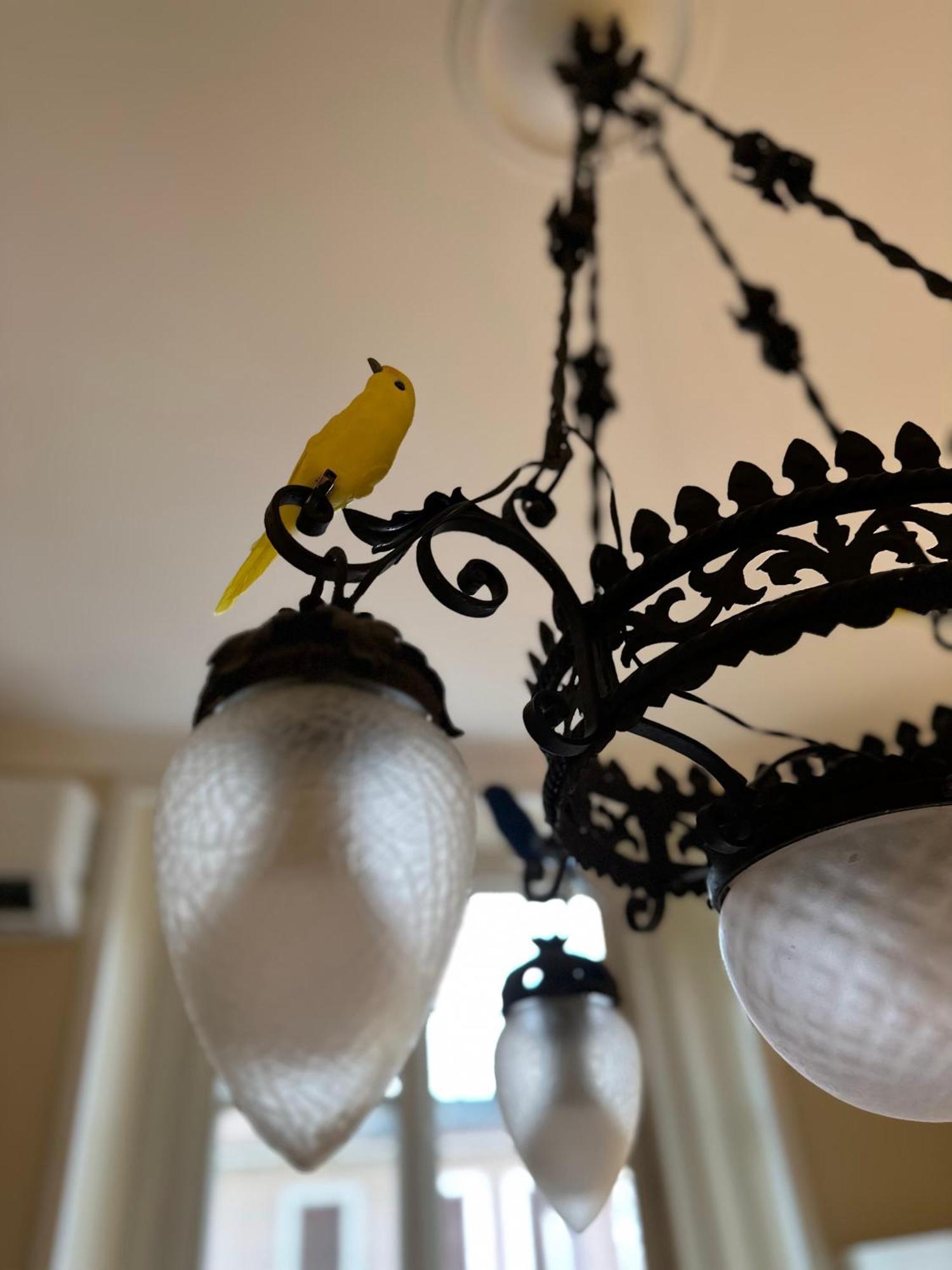 Casa Storica Anni '30: Da Fedro E Bianca Apartment