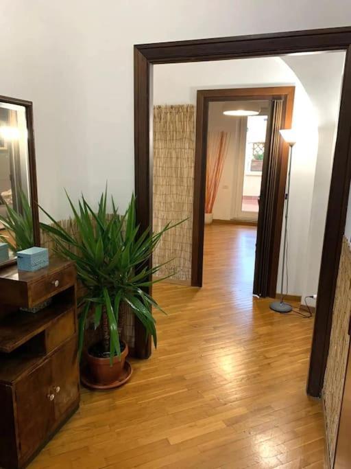 Cozy Terrace Termini Holiday home Rome