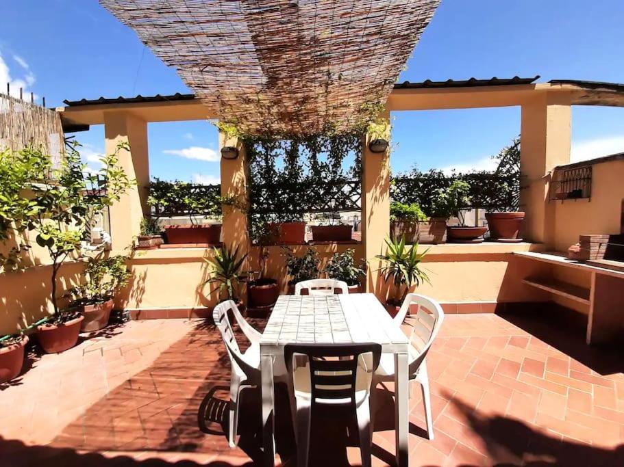 Cozy Terrace Termini *