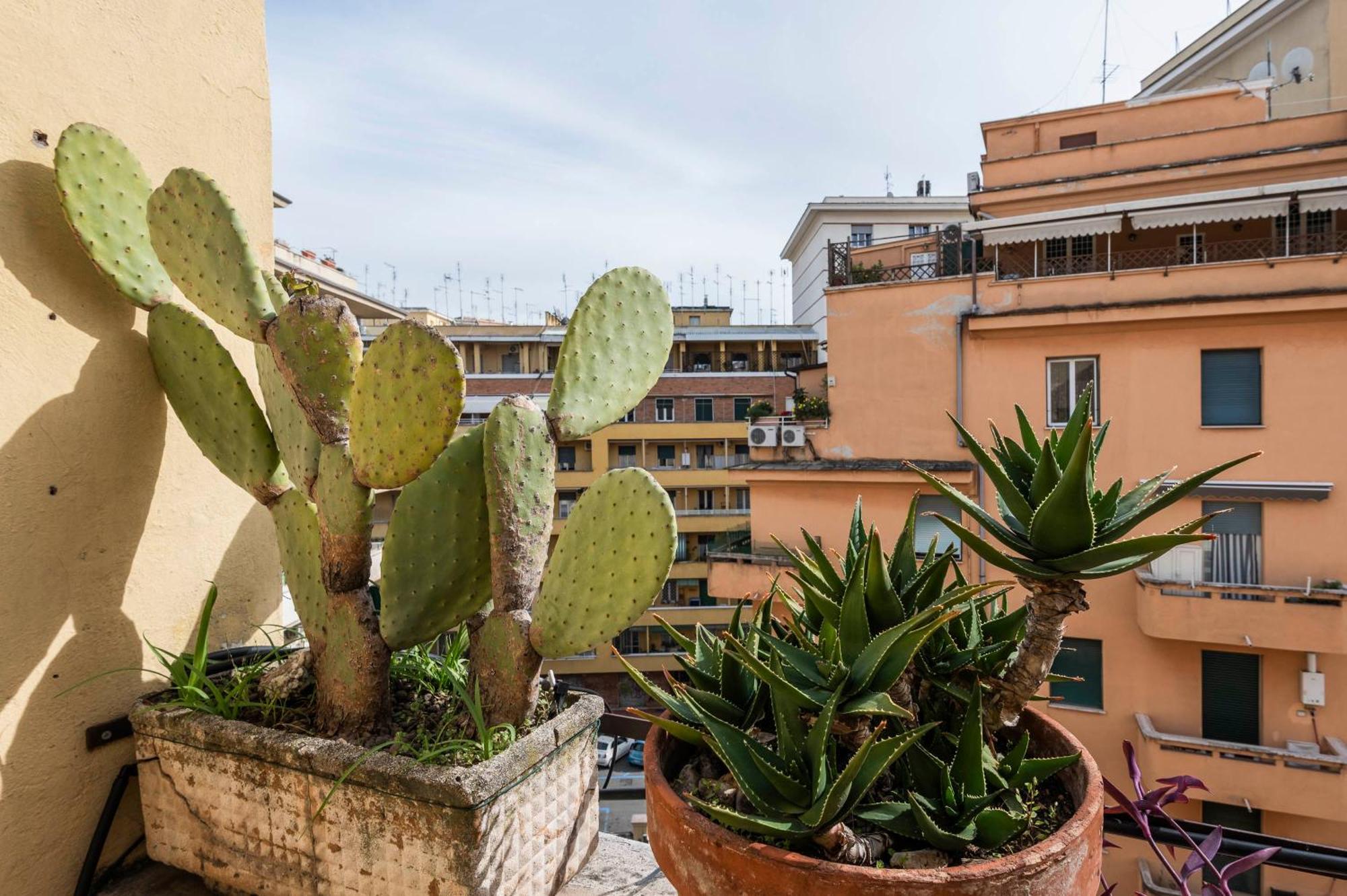 Appio Latino Zen Apartment-zeno 31 Appartamento Roma